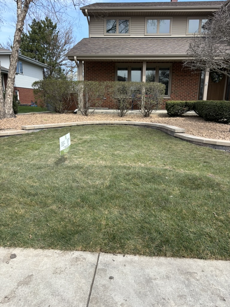 Fresh sod and clean edging