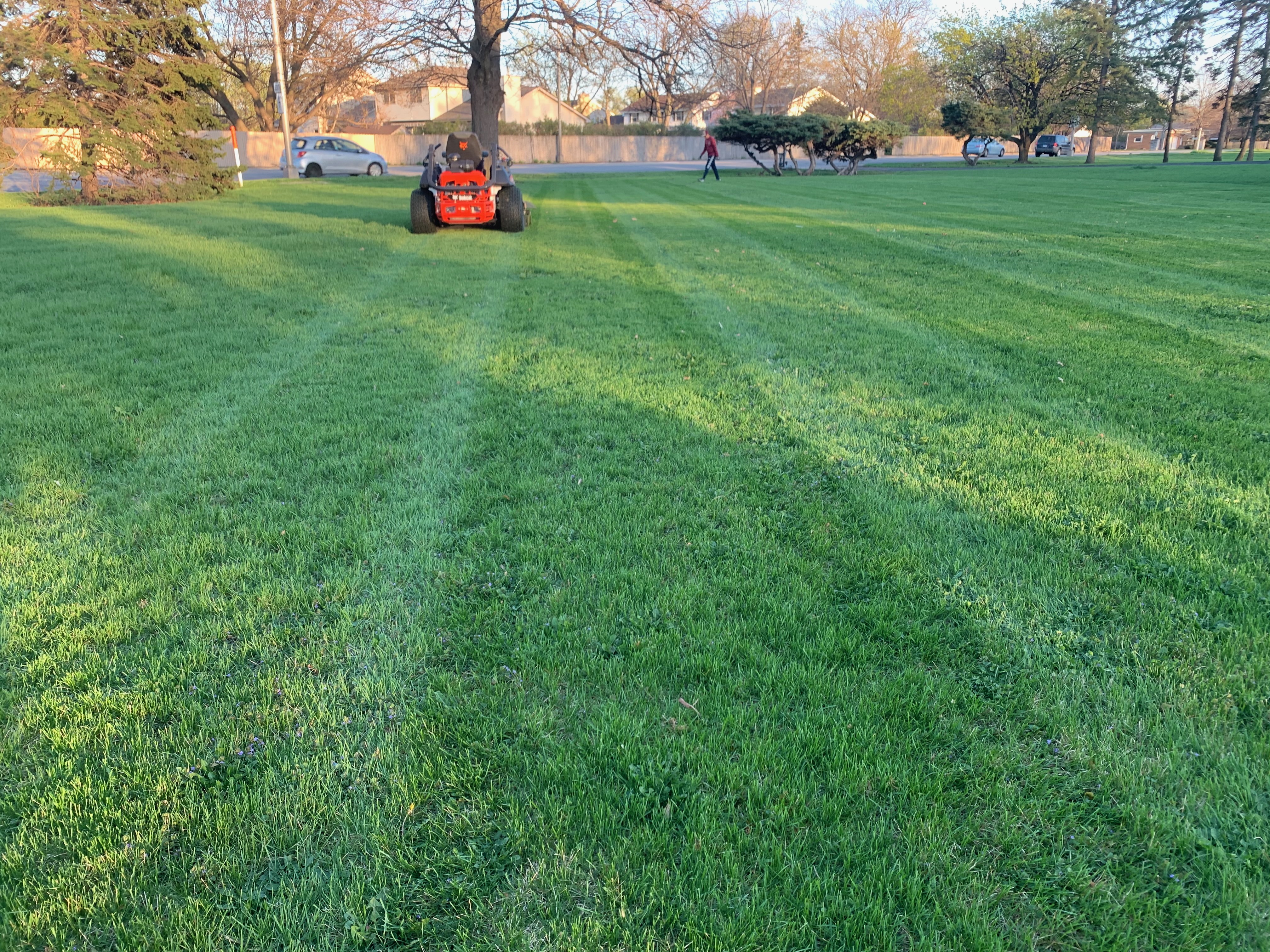 Lawn Maintenance