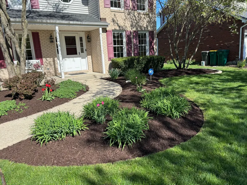 Mulching and sod installation